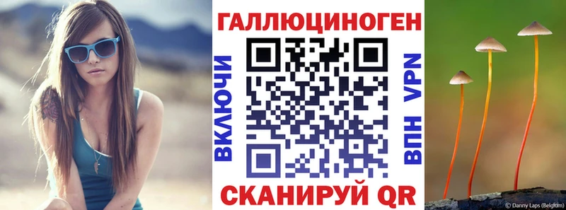 Псилоцибиновые грибы Psilocybe  купить наркотики цена  Георгиевск 
