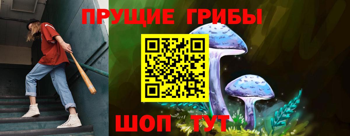 Георгиевск  Галлюциногенные грибы Cubensis  Вход с VPN 